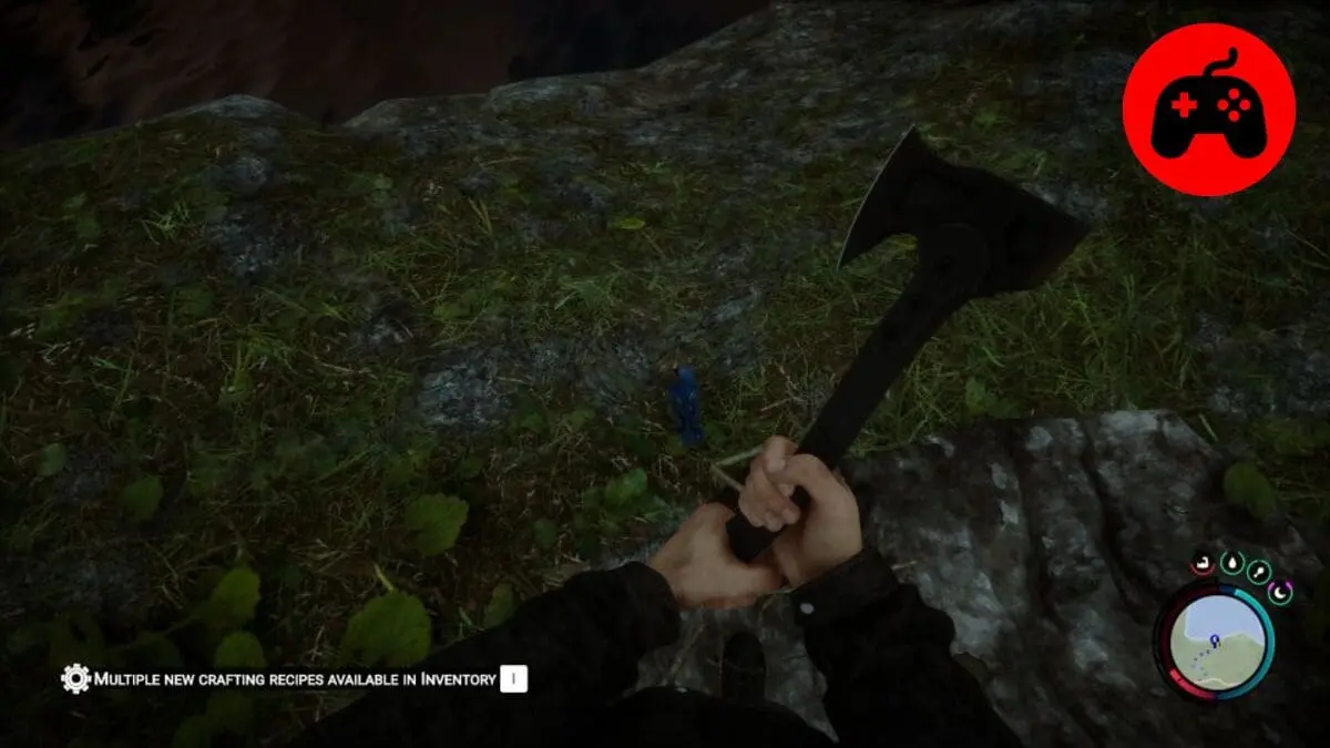 How To Get Feathers In Sons Of The forest